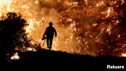 In this file photo, a firefighter works as the Caldor Fire burns in Grizzly Flats, California, U.S., August 22, 2021. (REUTERS/Fred Greaves/File Photo)