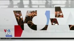 اخبار شامگاهی