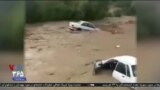 اخبار شامگاهی
