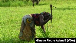 Une femme dans un champ au Bénin, le 26 avril 2017. (VOA/Ginette Fleure Adandé)