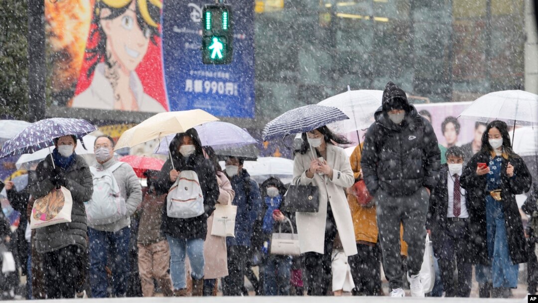 Warga berjalan melintasi persimpangan Shibuya yang terkenal saat salju turun di tengah penyebaran varian omicron, Kamis, 6 Januari 2022, di Tokyo. (Foto: AP)