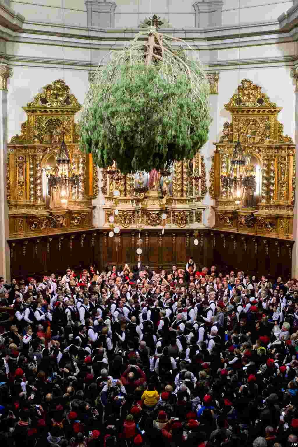 &#39;Galejadors&#39; (halagadores) cuelgan en un pino del techo de la iglesia durante “La Festa del Pi” en la localidad catalana de Centelles. Barcelona, Espa&#241;a. [AFP]