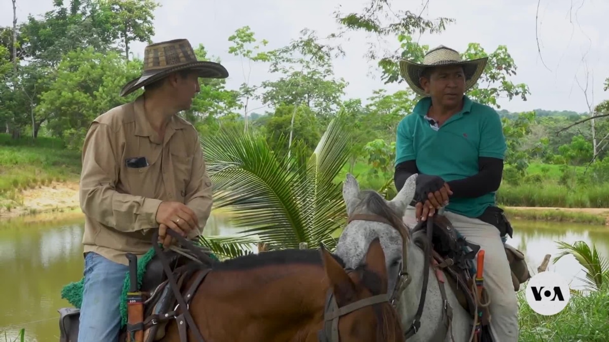 Colombian ranchers aim to prove beef production can be good for planet