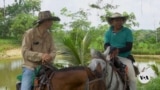 Colombian ranchers aim to prove beef production can be good for planet 