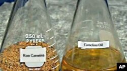 美国海军试验飞机新燃料，50%来自石油，50%来自亚麻荠籽