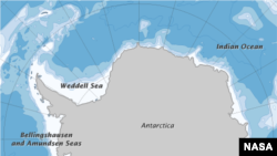 Antarctic Peninsula Shows Green Spots