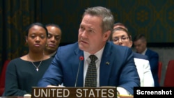 مایک والتز، نمایندۀ ایالات متحده در سازمان ملل متحد