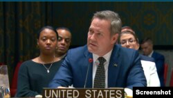 مایک والتز، نماینده ایالات متحده در سازمان ملل متحد