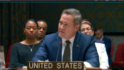 US Ambassador to the UN Mike Waltz. 