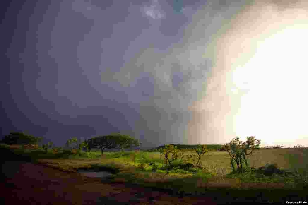 Driving along the road to Hana near the coast of Maui, Hawaii, USA (Alison Klein/VOA)