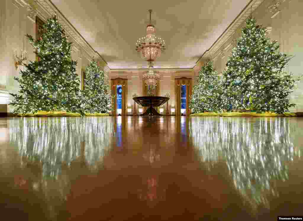 백악관 이스트룸에 크리스마스 트리가 설치됐다. 