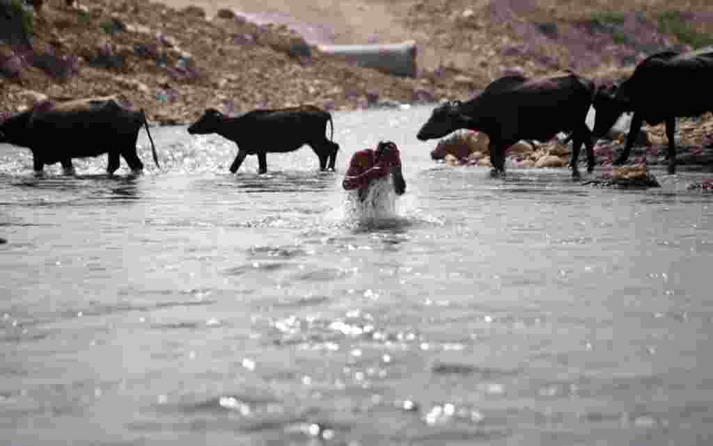 Un ciudadano indio se baña en el río Tawi en Jammu, India este 22 de marzo de 2012.