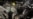 Ukraine: Air Defense Downs 34 of 35 Russian Drones