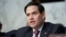 资料照：共和党联邦参议员鲁比奥（Sen. Marco Rubio, R-FL）2019年1月29日出席参议院情报委员会听证会。 