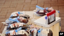 FILE Bags of donated blood are seen at a blood-donation drive in City Square, Kampala, Uganda on Sept. 19, 2020.