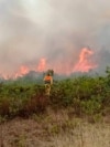 This photo released by the Peruvian Ministry of Defense shows Civil Defense members, firefighters, and volunteers try to extinguish a fire in the Amazon Region in northern Peru, Sept. 16, 2024. (Peruvian Ministry of Defense via AFP) 