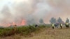 Anggota Pertahanan Sipil, petugas pemadam kebakaran, dan relawan berusaha memadamkan api di wilayah hutan Amazon di Peru utara, 16 September 2024. (Kementerian Pertahanan Peru melalui AFP) 