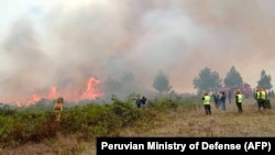 This photo released by the Peruvian Ministry of Defense shows Civil Defense members, firefighters, and volunteers try to extinguish a fire in the Amazon Region in northern Peru, Sept. 16, 2024. (Peruvian Ministry of Defense via AFP) 