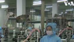 Թեև Հյուսիսային Կորեայում դեռևս կորոնավիրուսի դեպքեր չեն գրանցվել՝ օճառի գործարանում վարակազերծող հեղուկ են պատրաստում