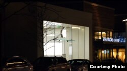 An Apple store in Woodbridge, Virginia. (Photo: Diaa Bekheet)