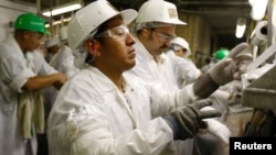 Trabajadores se ponen ropa protectora cuando regresan de un descanso en la planta de procesamiento de West Liberty Foods en West Liberty, Iowa, el 7 de julio de 2011.