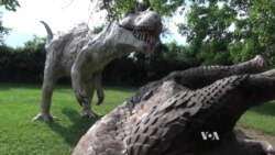 American Roadside Attraction 'Dinosaur Land' Lures Visitors