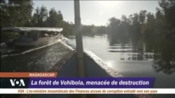 La forêt de Vohibola menacée de destruction