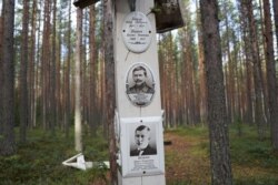 Krasny Bor means the “Beautiful Grove” and but for white wooden markers identifying pits where the killed were buried under tall swaying pine trees it would be. (J. Dettmer/VOA)