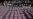 Mexico Senate to Take Up Security Law Blasted by UN Rights Boss