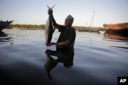 Fisherman Kassim Abdalla Zingizi holds a yellowfin tuna after a catch in Vanga, Kenya on June 14, 2022. (AP Photo/Brian Inganga)