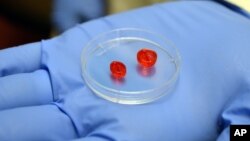 FILE - A 3-D printer was used to construct these tiny two-ventricle cylinders at the University of Louisville, in Louisville, Ky. Israeli 3-D printer manufacturer Nano Dimension, and Accellta, a company that produces IPS cells, now say they have tested a 