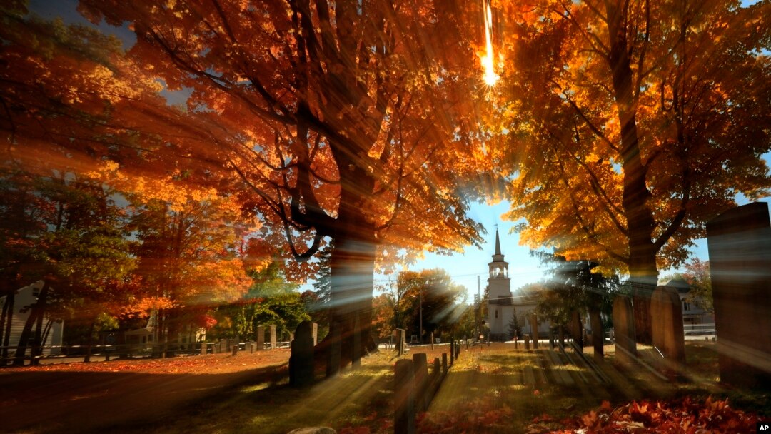 FILE - In this photo taken with a slow shutter speed, autumn's colors peak on hardwood trees in a cemetery near the Congregational Church, Oct. 10, 2016, in Cumberland, Maine. Experts say some of 2024's most vibrant foliage will be in parts of the Midwest.
