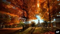 FILE - In this photo taken with a slow shutter speed, autumn's colors peak on hardwood trees in a cemetery near the Congregational Church, Oct. 10, 2016, in Cumberland, Maine. Experts say some of 2024's most vibrant foliage will be in parts of the Midwest.