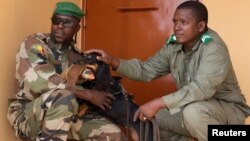 A dog trained to sniff out ivory is seen with a member of Mali’s anti-poaching brigade during a training in Bamako, Mali, July 8, 2017.