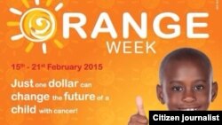 The campaign calls for people to dress in orange throughout the week and support the organization with at least a $1 donation. 