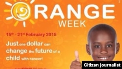 Le Zimbabwe participe à la journée internationale du Cancer de l'Enfant, qui est marquée le 15 février chaque année, en organisant le Kidzcan Orange Week.