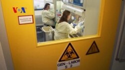 Germans Tout New Malaria Vaccine