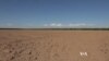 Arizona Fallows Farms to Save Water for Cities