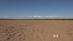 Arizona Fallows Farms to Save Water for Cities