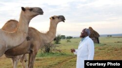 African Camel Health Study