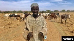 A Fulani cattle herder walks with his cows outside the city of Tillaberi, southwest Niger, about 100 km south of the Mali border, Niger, Nov. 1, 2017.