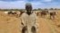 A Fulani cattle herder walks with his cows outside the city of Tillaberi, southwest Niger, about 100 km south of the Mali border, Niger, Nov. 1, 2017.