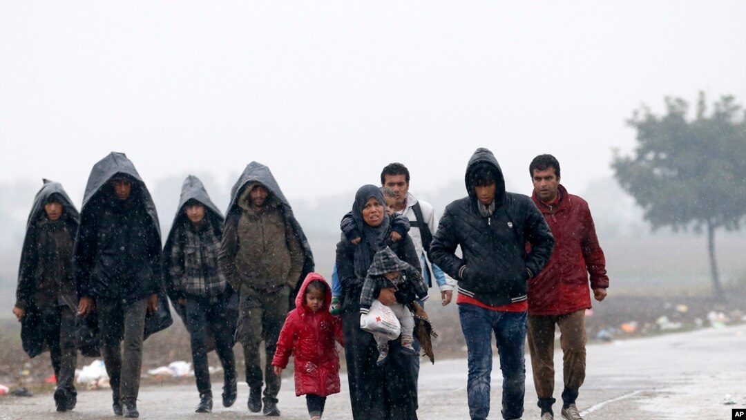 Sekelompok migran berjalan di perbatasan antara Serba dan Kroasia dekat desa Berkasovo, Serbia (19/10).