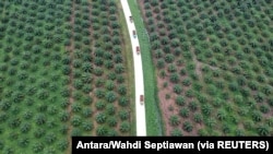 FILE - Foto udara perkebunan kelapa sawit di Batanghari, Jambi, 28 November 2018. (Foto: Antara/Wahdi Septiawan via REUTERS)