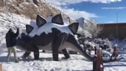 Чистка динозавра