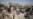 Saudi-backed Yemen Fighters Push for More Ground