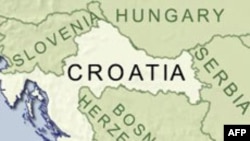 Serbiya və Xorvatiya mütəşəkkil cinayətkarları biri-birinə təslim edəcəklər