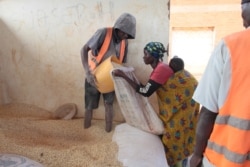 A woman receives food aid at Dzaleka refugee camp. (Lameck Masina/VOA)