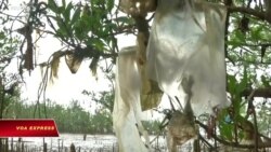 Việt Nam thông qua Luật Bảo vệ Môi trường dù vấp phải phản đối