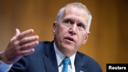 Senator Thom Tillis, R-N.C.